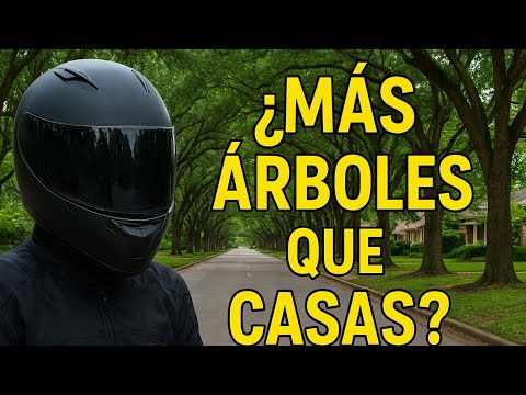 Este es el Barrio con más Árboles de CALI : El Lido