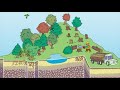 Interação Humana com o Meio Ambiente