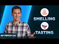 Exploring the Science of Smell and Taste