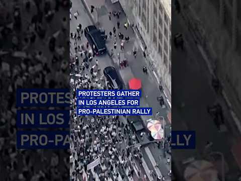 Protesters gather in Los Angeles for pro-Palestinian rally