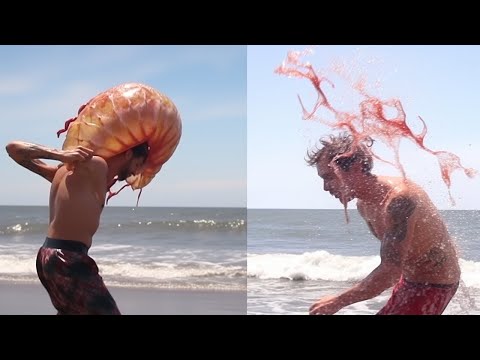 El Mundo Entero quedó Conmocionado por lo Sucedido en esta Playa