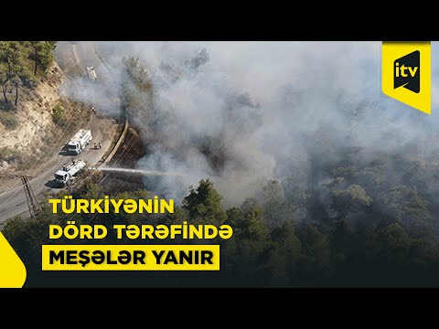 Türkiyədəki meşə yanğınlarından ən son görüntülər
