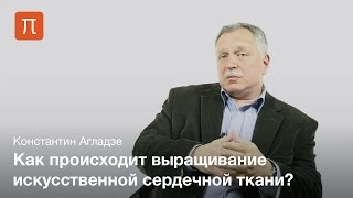 видео