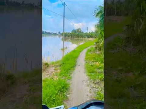 Mấy bạn ở xì phố sao dám chạy mấy đường này he 😜😜 #xuhuongyoutube