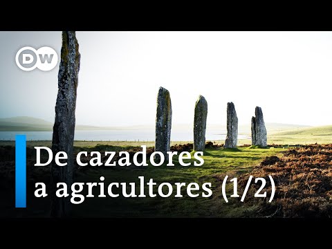 Misterios de la Edad de Piedra (1/2) | DW Documental
