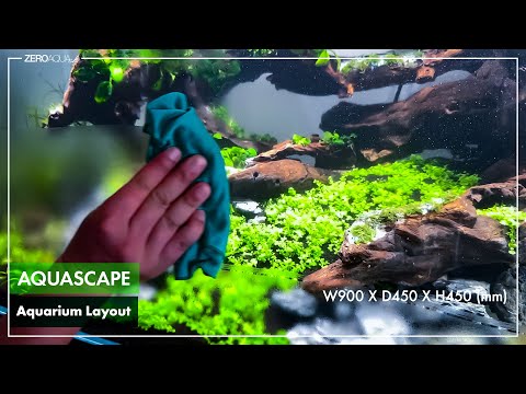 初めての90cm水槽に水草栽植 /aquascape/aquarium/90cm tank/vlog/