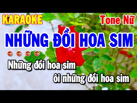 Karaoke Những Đồi Hoa Sim Tone Nữ Nhạc Sống Rumba Dễ Hát | Thanh Hải