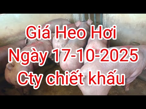 Công ty chiết khấu