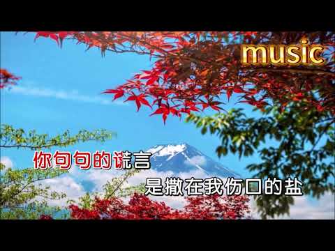 你的欺騙-燕寶兒KTV 伴奏 no vocal 無人聲 music 純音樂 karaoke 卡拉OK 伴唱你的欺騙-燕寶兒