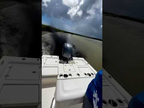 Luck… or just skill? #boat #boatmuddin #hypeengines #viralvideos