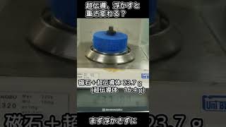 超伝導、浮かせたら重さ変わる？#Shorts