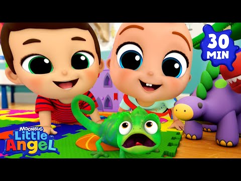 My New Little Pet Chameleon! | Baby John’s Playtime Songs & Nursery Rhymes | Little Angel