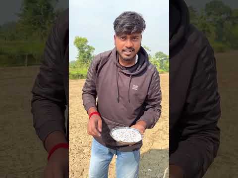 তুমি এটা পারবে না