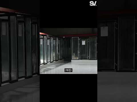 다견 집사들이 공감하는 순간 BEST #Shorts
