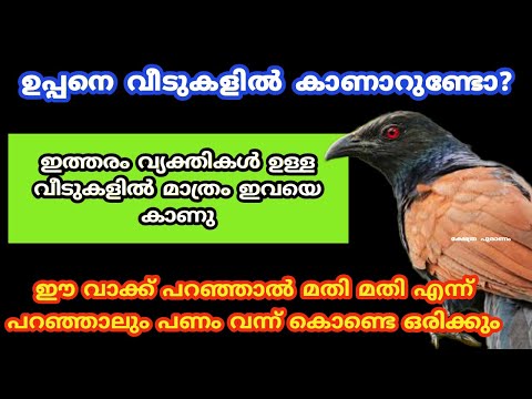 ഇത്തരം വ്യക്തികൾ ഉള്ള വീടുകളിൽ മാത്രം ഉപ്പനെ കാണു