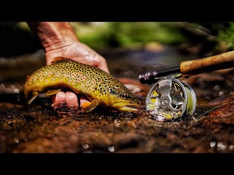 THE ESCAPE: A FLY FISHING FILM (Part 1)