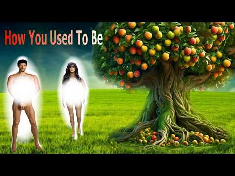 Adam and Eve Actual Appearance and What It Says About You