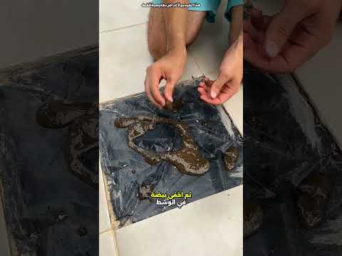 بيضة مخفية تحت البلاطة 😯