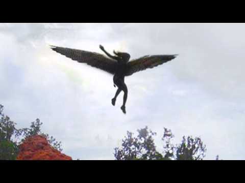 These Things Caught On Camera Should NOT Exist