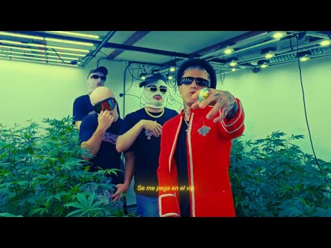 WILLY TONKA - TUSSIWARRIORS FT FALKE 912 (VIDEO OFICIAL)