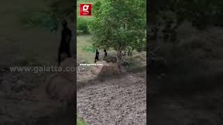 தப்பி ஓடிய most wanted criminal-ஐ வானில் இருந்து மடக்கிய drone camera ...!
