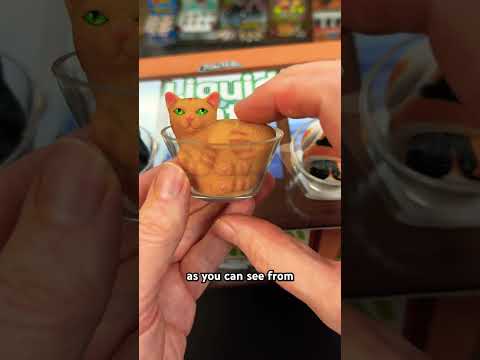 video screenshot