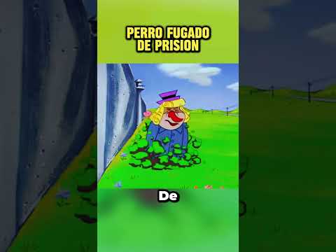 Perro Que se Escapa de la Cárcel 😂  #moviemovie #mrbeastenespanol #resumen #mrbeast