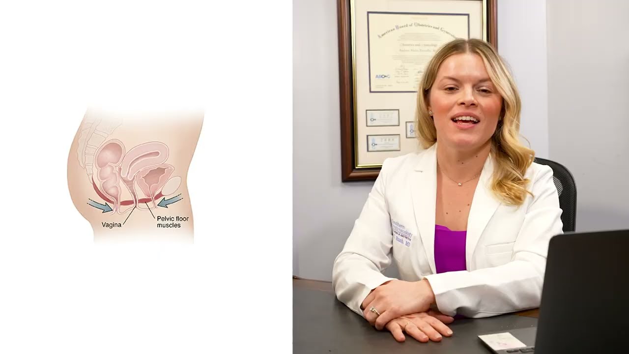 Pelvic floor muscles and vaginal anatomy illustration.