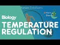 Understanding Temperature Regulation in Humans