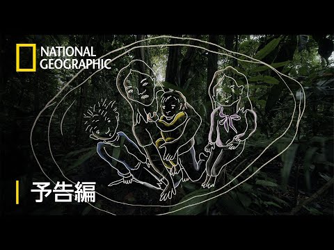 空から墜ちた子供たち：40日間の密林サバイバル – 予告編  | ナショジオ