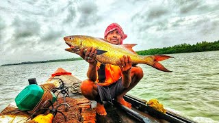 অনেকদিন পর সুন্দরবনের নদীতে 5kg ছেলে মাছের দেখা পেলাম।@naturalsundarban