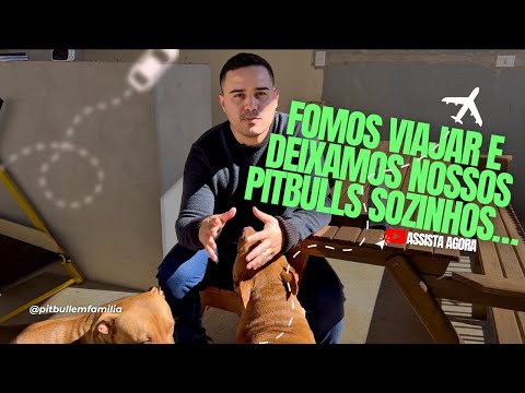 FOMOS VIAJAR E OS PITBULLS FICARAM SOZINHOS !! Assista e entenda 🐶
