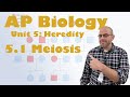 Meiosis and Genetic Variation Concepts