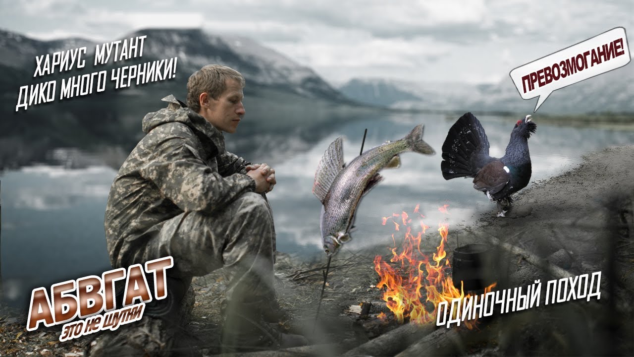 Шок! Рыбы монстры в заповеднике. Браконьерский поход в заповедник, огромный хариус, черники