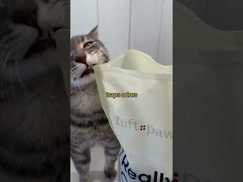 This is ✨life changing✨ cat litter