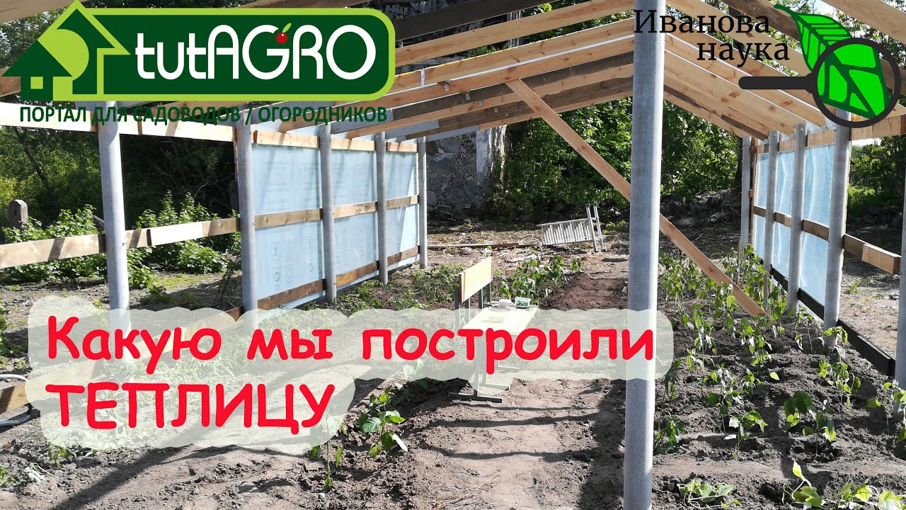Строительство теплицы своими руками: нет ничего невозможного! Какую теплицу я выбрал