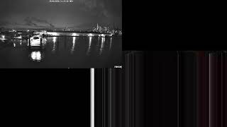 PortSide NY Livestream