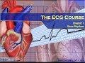 Understanding Sinus Rhythms and Blocks