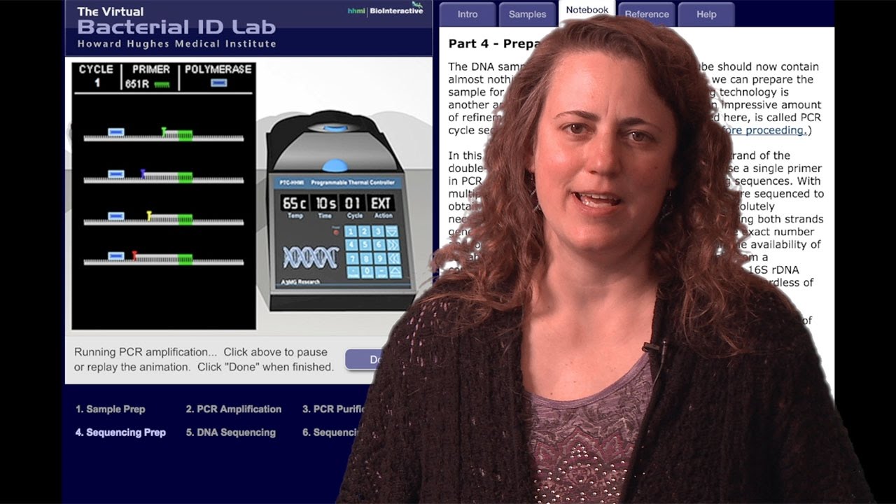 Virtual Lab Bacterial Identification Virtual Lab: A Revolutionary Approach to Microbiology