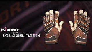Specialist Gloves Tiger Strike Gameplay