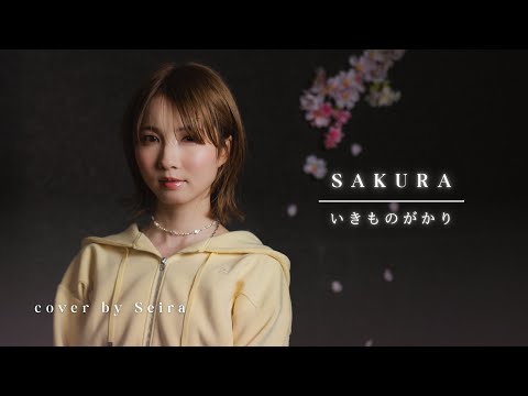 SAKURA / いきものがかり Cover by Seira