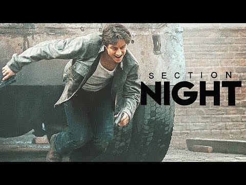Night Section | HBD BRUNA [+infinitexnight]