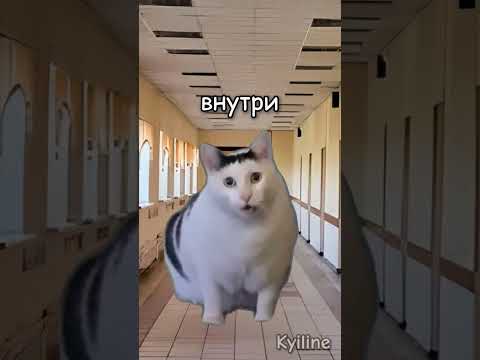 Парень переиграл учителя! #мем #котики#shorts#рекомендации