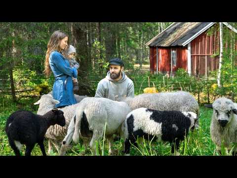 We Finally Got Farm Animals!