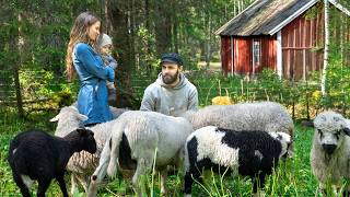We Finally Got Farm Animals!