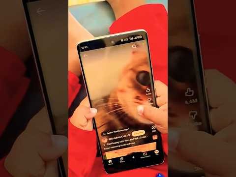 Billi Ki Awaj Kaha Se AA Rahi Hai 😱 Mysterious Sounds Revealed #shorts #catsound