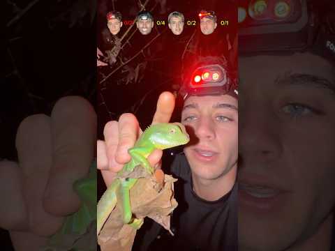 ES UNA SERPIENTE !!! ๐ gracias compaรฑeros!! #tonifero #Tailandia #viral