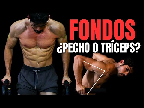 ¿DEBERÍAS HACER FONDOS PARA PECHO O TRÍCEPS? (Esto te aclara todo)
