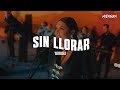Comprensión del Video: Libertad y Nuevos Comienzos