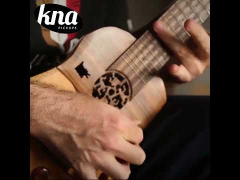 KNA UP-1 universal portable pickup for acoustic instruments - demo on Ronroco #Shorts